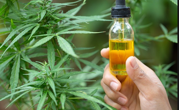 CBD